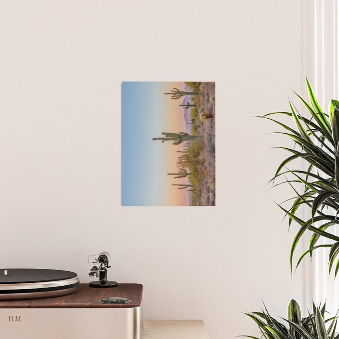 Desert / Scottsdale, Arizona Poster Gallery Image 2