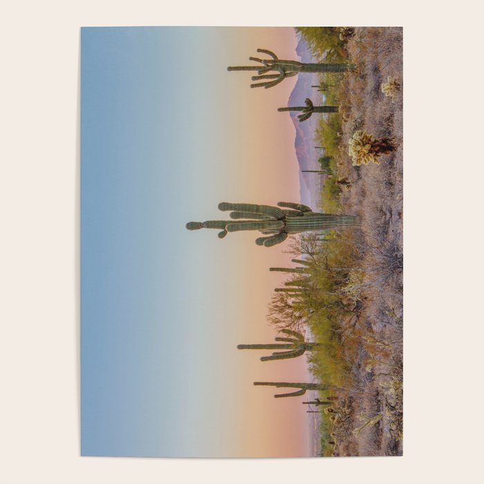 Desert / Scottsdale, Arizona Poster