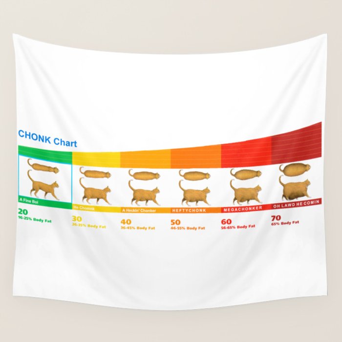 Cat CHONK Chart Meme Wall Tapestry Gallery Image 1