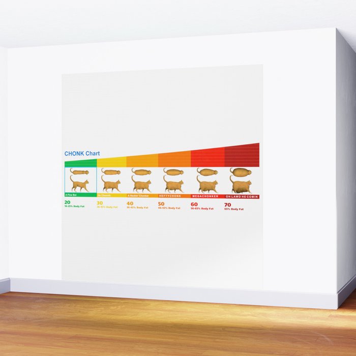 Cat CHONK Chart Meme Wall Mural Gallery Image 2