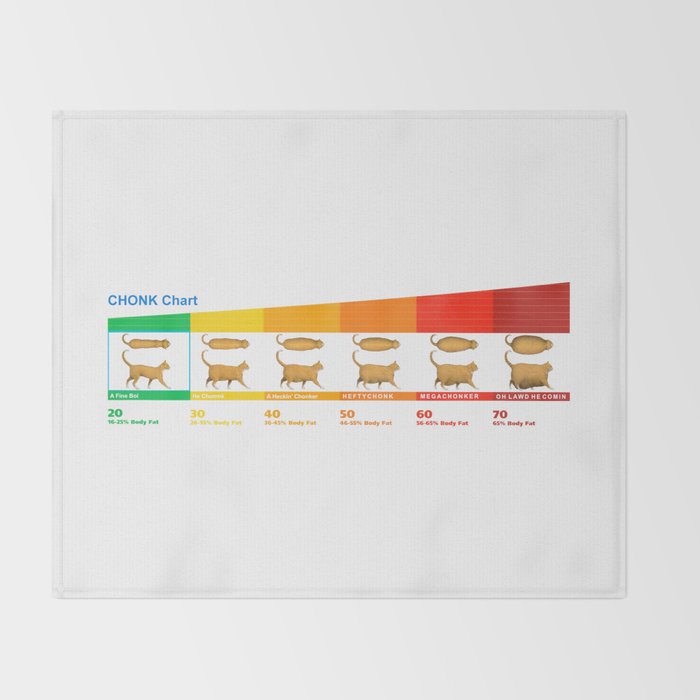 Cat CHONK Chart Meme Throw Blanket Gallery Image 2