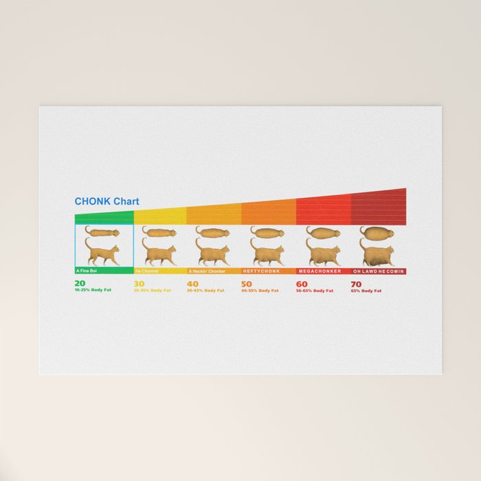 Cat Chonk Chart Meme Welcome Mat