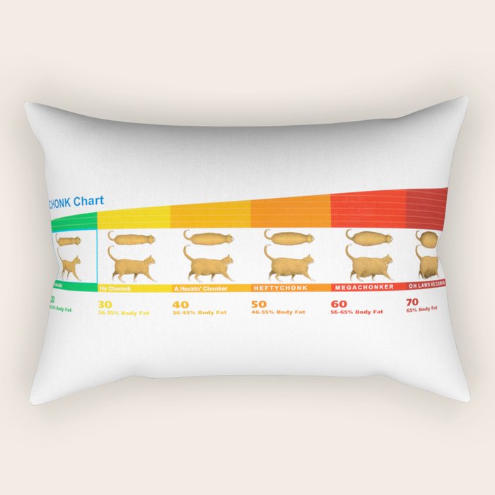 Cat CHONK Chart Meme Rectangular Pillow Gallery Image 1