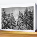 Forest Winter Window - 45/365 Nature Photography Wall Mural Gallery Image 2