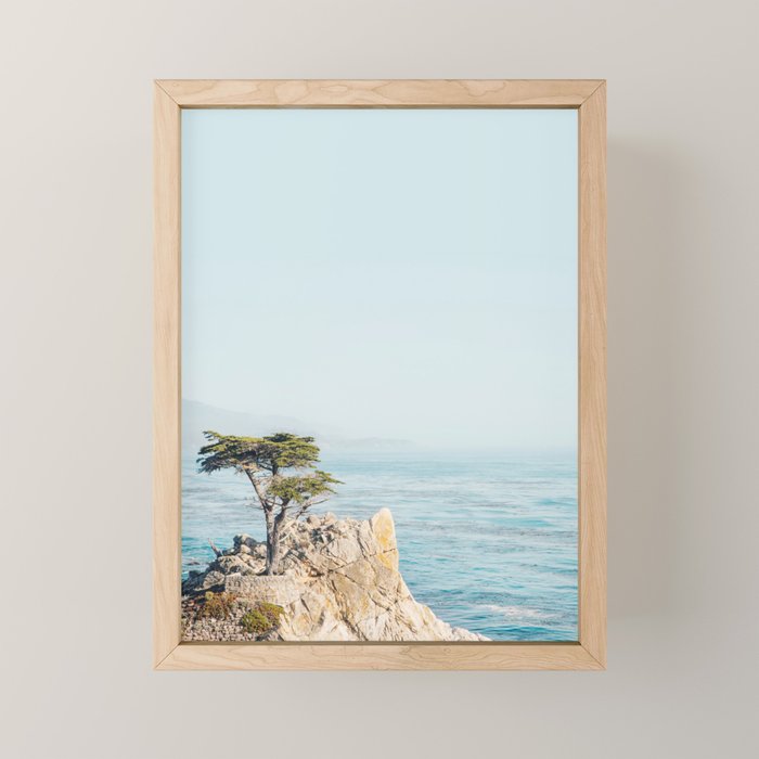 Lone Cypress Tree - Coastal California Landscape Photography Mini Art Print Gallery Image 1