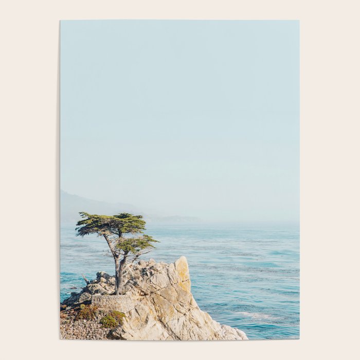 Lone Cypress Tree - Coastal California Landscape Photography Poster Gallery Image 1