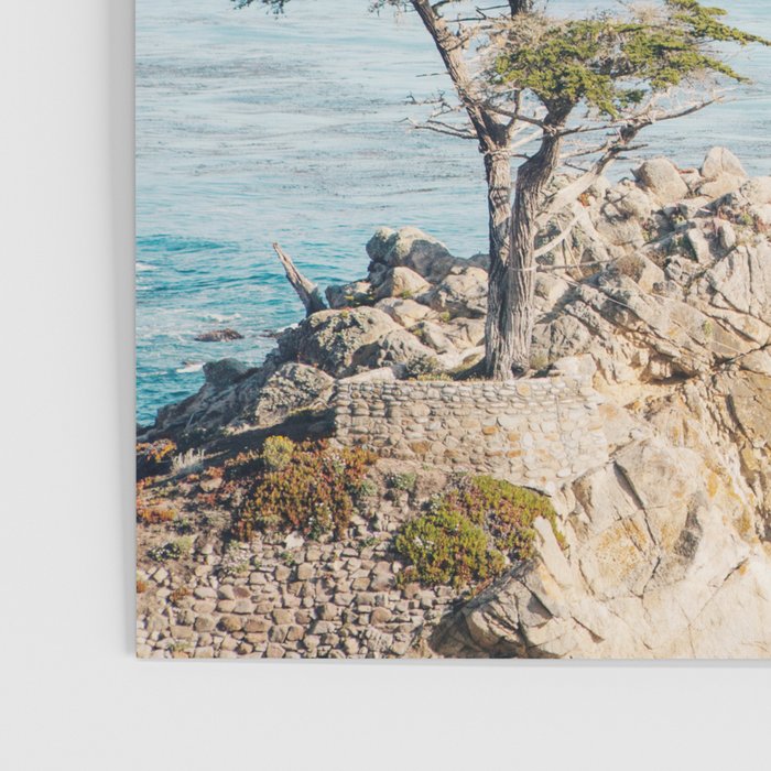 Lone Cypress Tree - Coastal California Landscape Photography Poster Gallery Image 3