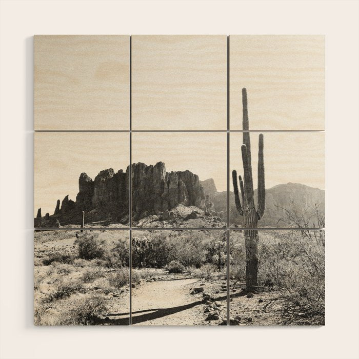 ARIZONA DESERT II Wood Wall Art Gallery Image 1