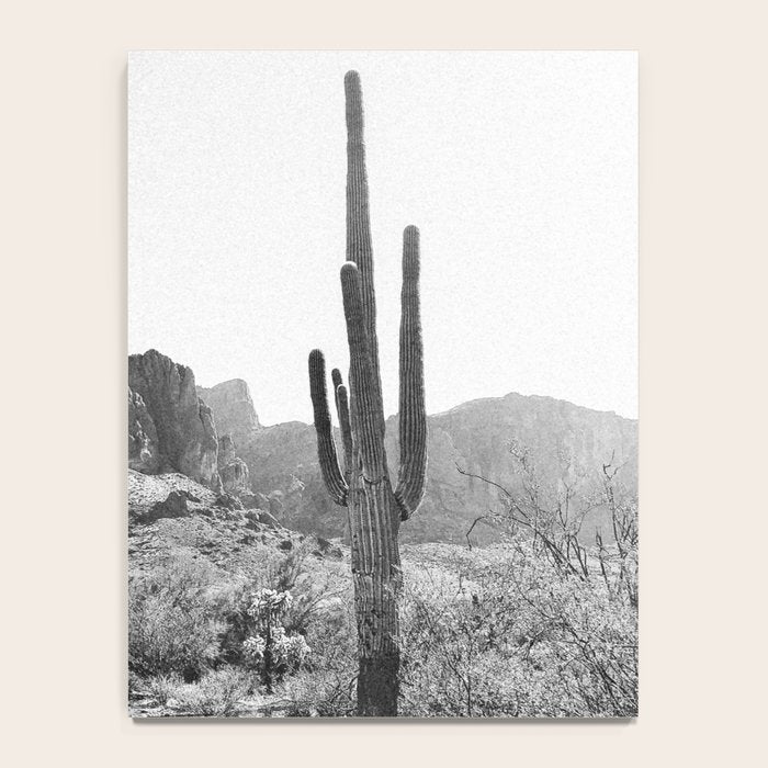 ARIZONA DESERT II Notebook Gallery Image 4