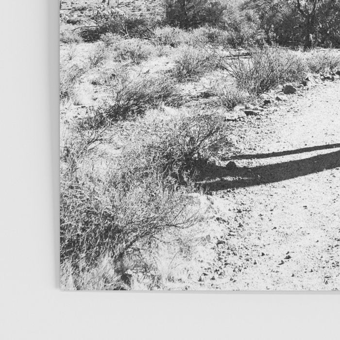 ARIZONA DESERT II Poster Gallery Image 3