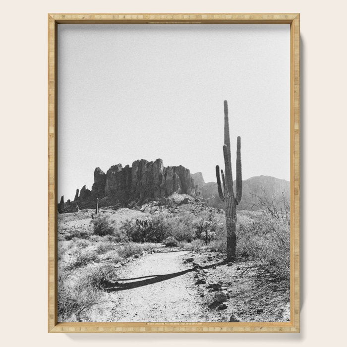 ARIZONA DESERT II Serving Tray Gallery Image 1
