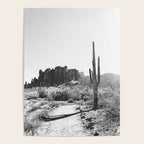 ARIZONA DESERT II Poster Gallery Image 4