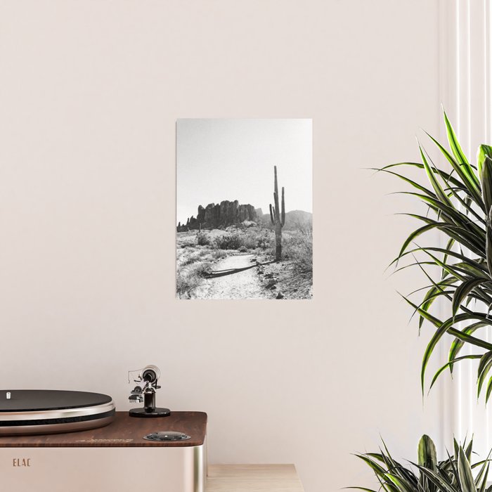 ARIZONA DESERT II Poster Gallery Image 2