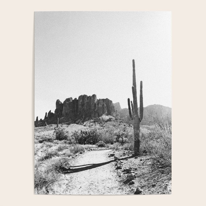ARIZONA DESERT II Poster Gallery Image 1