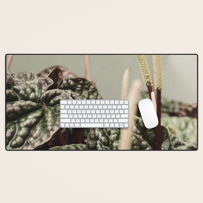 Houseplant 3 - leaf leaves plant botanical modern photograph  Desk Mat Gallery Image 1