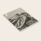 Houseplant 3 - leaf leaves plant botanical modern photograph  Notebook Gallery Image 3