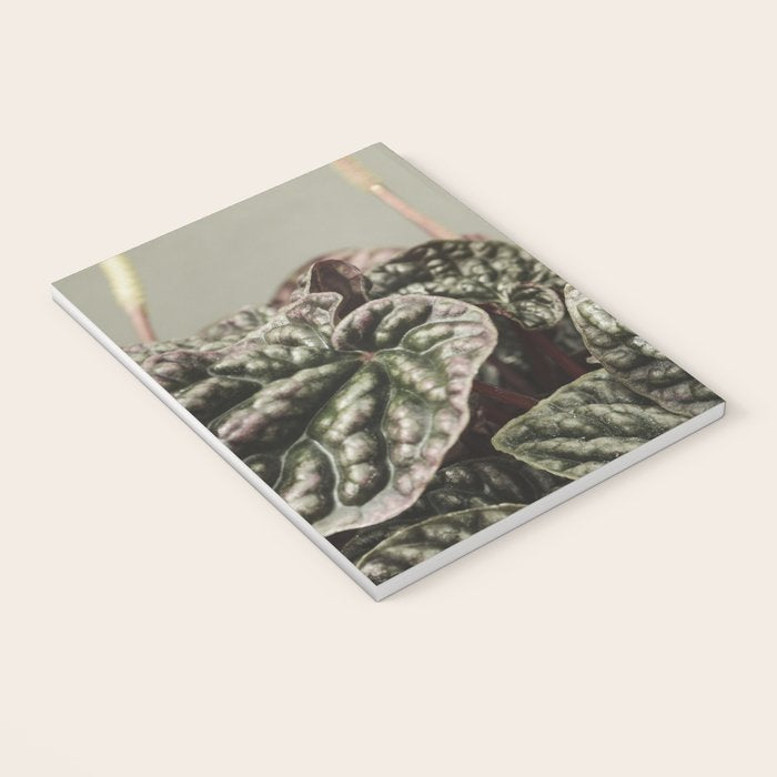 Houseplant 3 - leaf leaves plant botanical modern photograph  Notebook Gallery Image 3