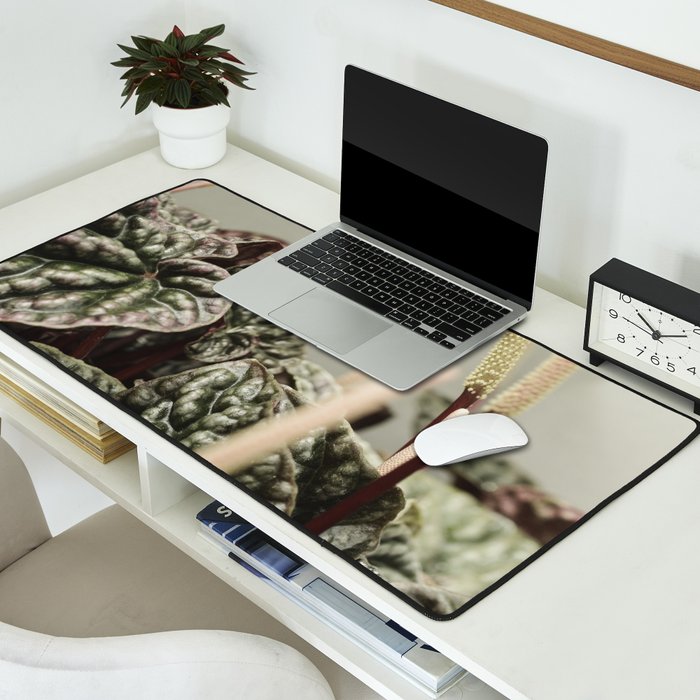 Houseplant 3 - leaf leaves plant botanical modern photograph  Desk Mat Gallery Image 2