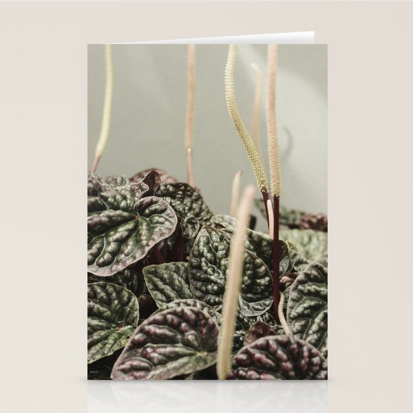 Houseplant 3 - leaf leaves plant botanical modern photograph  Stationery Card Gallery Image 1