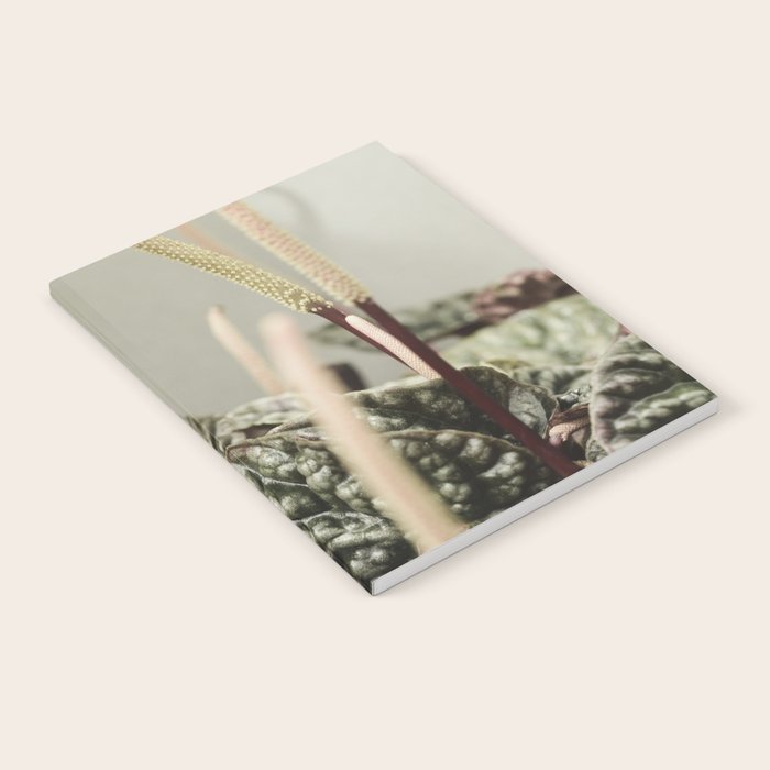 Houseplant 3 - leaf leaves plant botanical modern photograph  Notebook Gallery Image 2