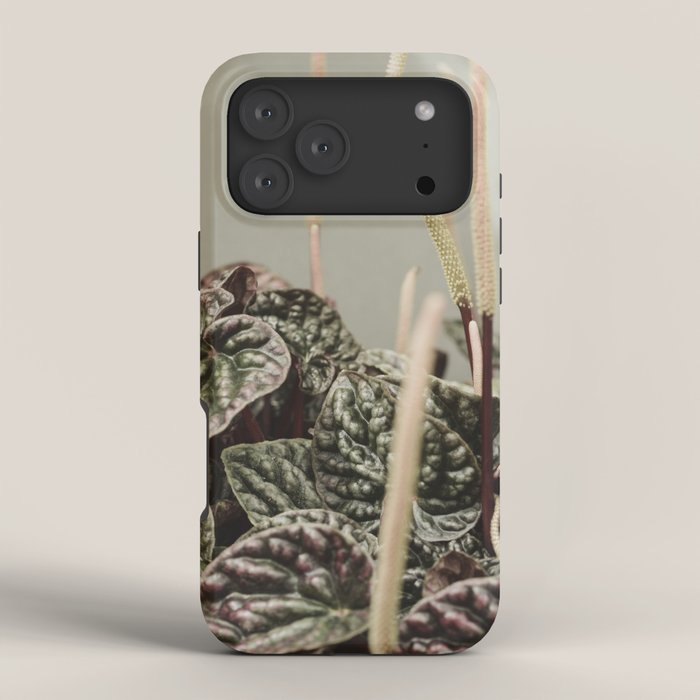 Houseplant 3 - leaf leaves plant botanical modern photograph  iPhone Case Gallery Image 4