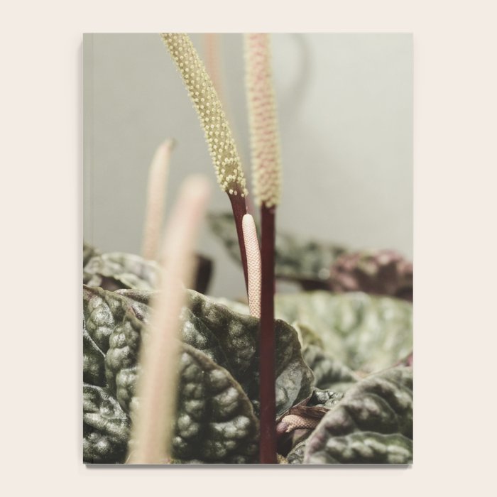 Houseplant 3 - leaf leaves plant botanical modern photograph  Notebook Gallery Image 4