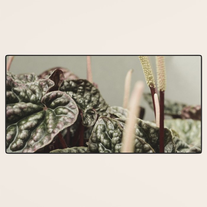 Houseplant 3 - leaf leaves plant botanical modern photograph  Desk Mat Gallery Image 3