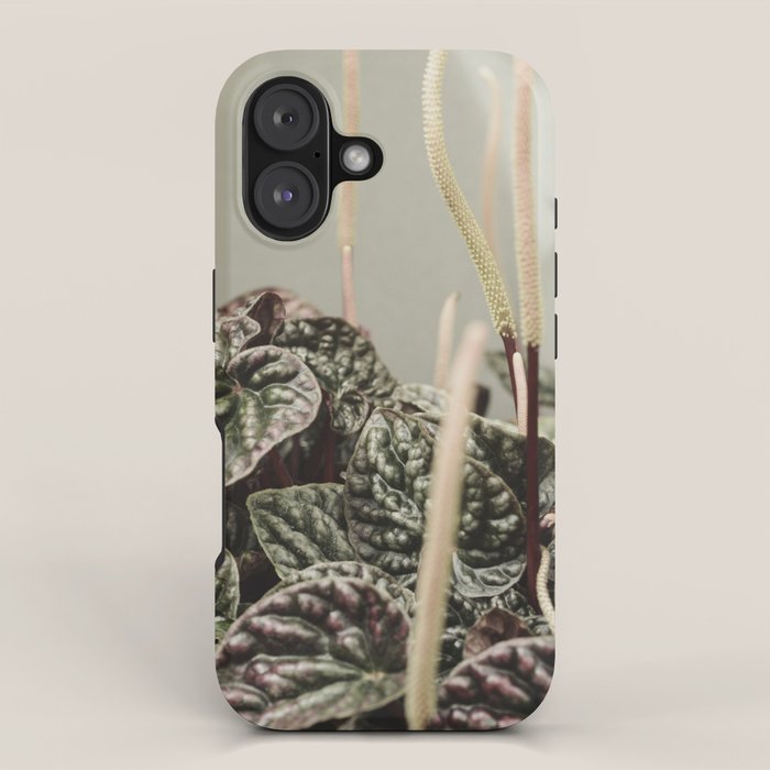 Houseplant 3 - leaf leaves plant botanical modern photograph  iPhone Case Gallery Image 1