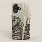 Houseplant 3 - leaf leaves plant botanical modern photograph  iPhone Case Gallery Image 1