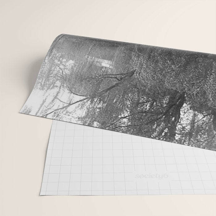 Circle Of Witches, Natchez Trace Vintage Women Dancing black and white photograph - photography - photographs Wrapping Paper Gallery Image 2