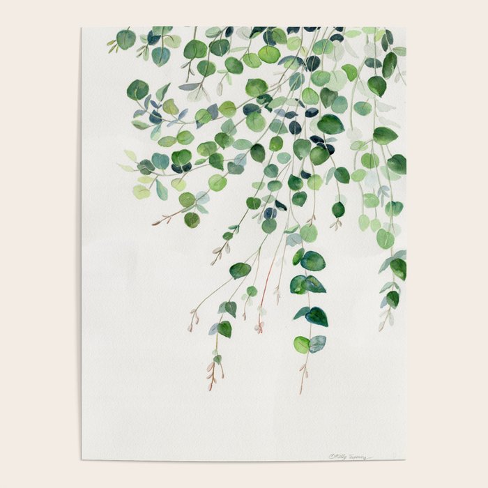 Eucalyptus Watercolor Poster Gallery Image 4