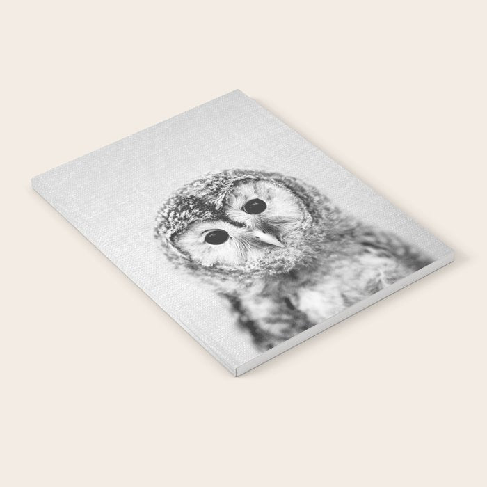 Baby Owl - Black & White Notebook Gallery Image 1