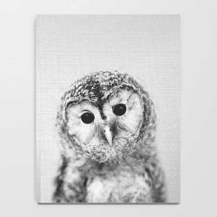 Baby Owl - Black & White Notebook Gallery Image 4