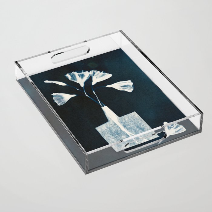 Magic in the Ordinary 8 - Dark Acrylic Tray Gallery Image 1