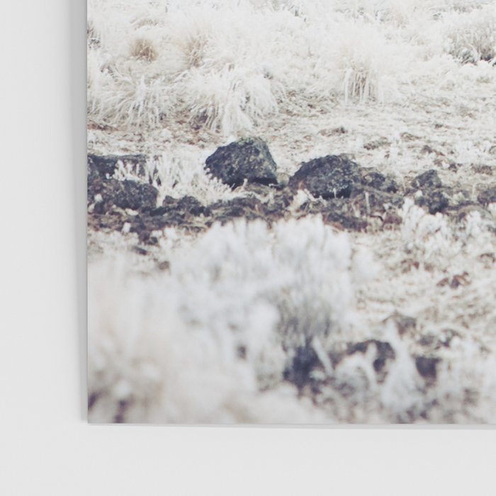 Winter Horse Herd Poster Gallery Image 3