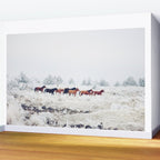 Winter Horse Herd Wall Mural Gallery Image 2