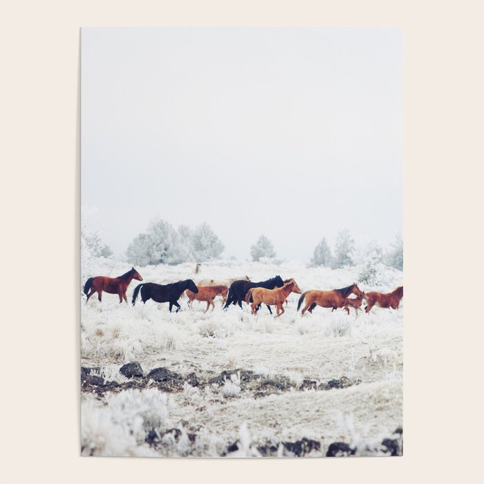 Winter Horse Herd Poster Gallery Image 4