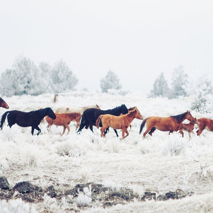 Winter Horse Herd Coffee Mug Gallery Image 2