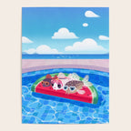 Cory cats in the swimming pool Poster Gallery Image 4