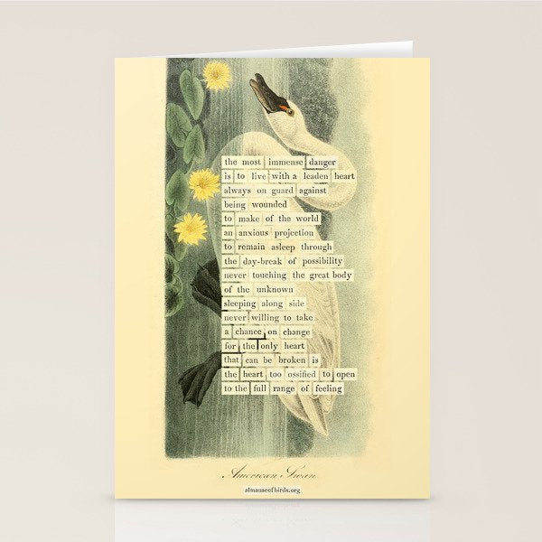 Swan Divination from 'An Almanac of Birds - Divinations for Uncertain Days' (almanacofbirds.org) Stationery Card Gallery Image 1