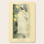 Swan Divination from 'An Almanac of Birds - Divinations for Uncertain Days' (almanacofbirds.org) Cutting Board Gallery Image 1