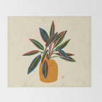 PLANT WITH COLOURFUL LEAVES  Throw Blanket Gallery Image 2