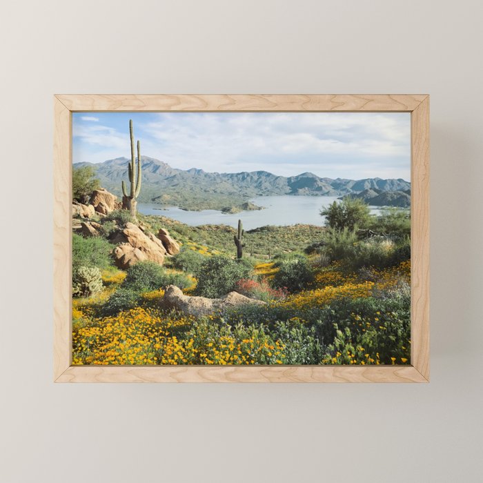 Arizona Blooms Mini Art Print Gallery Image 1