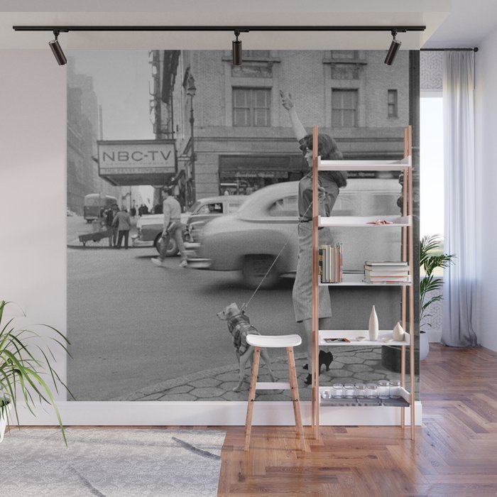 Young woman with pet dog hailing a yellow cab taxi New York City portrait black and white photograph - photography - photographs Wall Mural Gallery Image 1