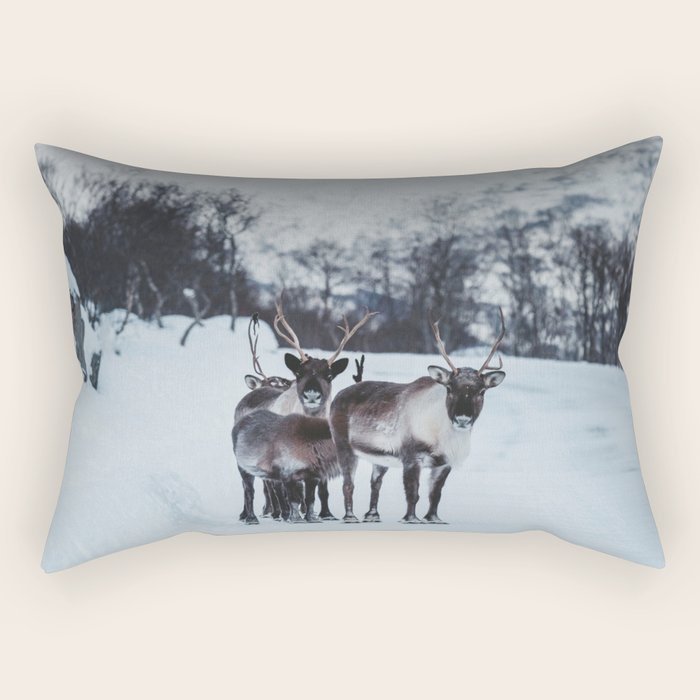Hitch-hikers - Landscape and Nature Photography Rectangular Pillow Gallery Image 2
