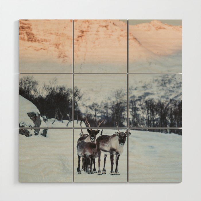 Hitch-hikers - Landscape and Nature Photography Wood Wall Art Gallery Image 1