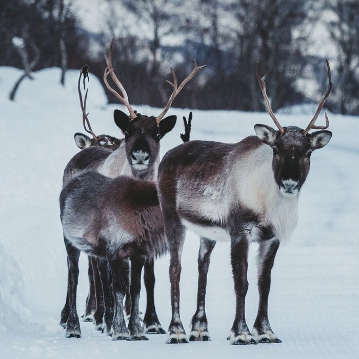 Hitch-hikers - Landscape and Nature Photography Coffee Mug Gallery Image 2