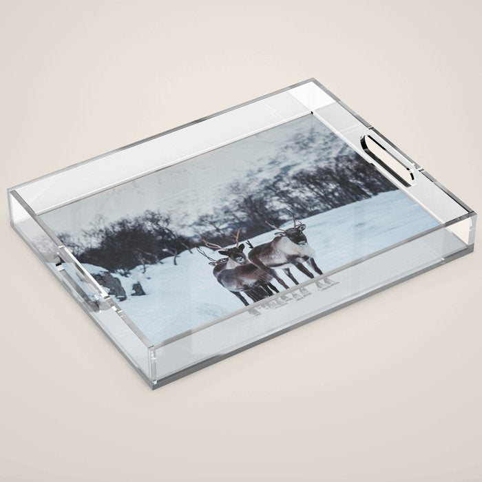 Hitch-hikers - Landscape and Nature Photography Acrylic Tray Gallery Image 1