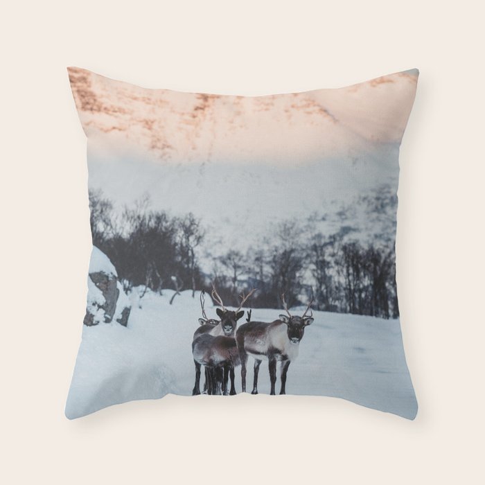 Hitch-hikers - Landscape and Nature Photography Throw Pillow Gallery Image 6