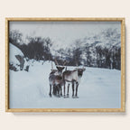Hitch-hikers - Landscape and Nature Photography Serving Tray Gallery Image 1